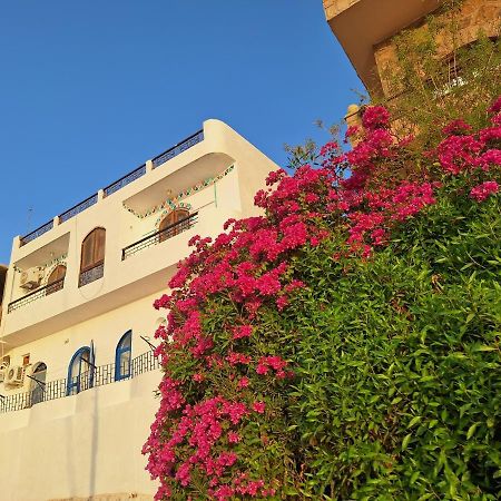 Nobatia Guest House 2 أسوان المظهر الخارجي الصورة
